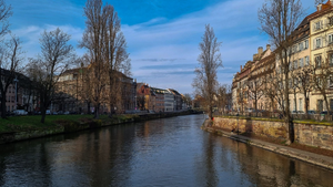 Traitement punaises de lit Strasbourg